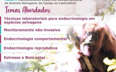 Workshop Internacional Pesquisas Hormonais – Silvestres