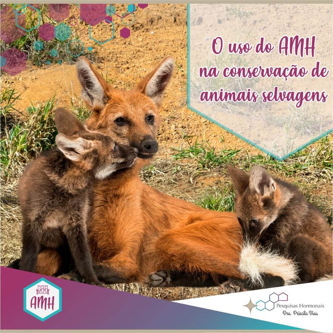 O uso do AMH na conservação de animais selvagens