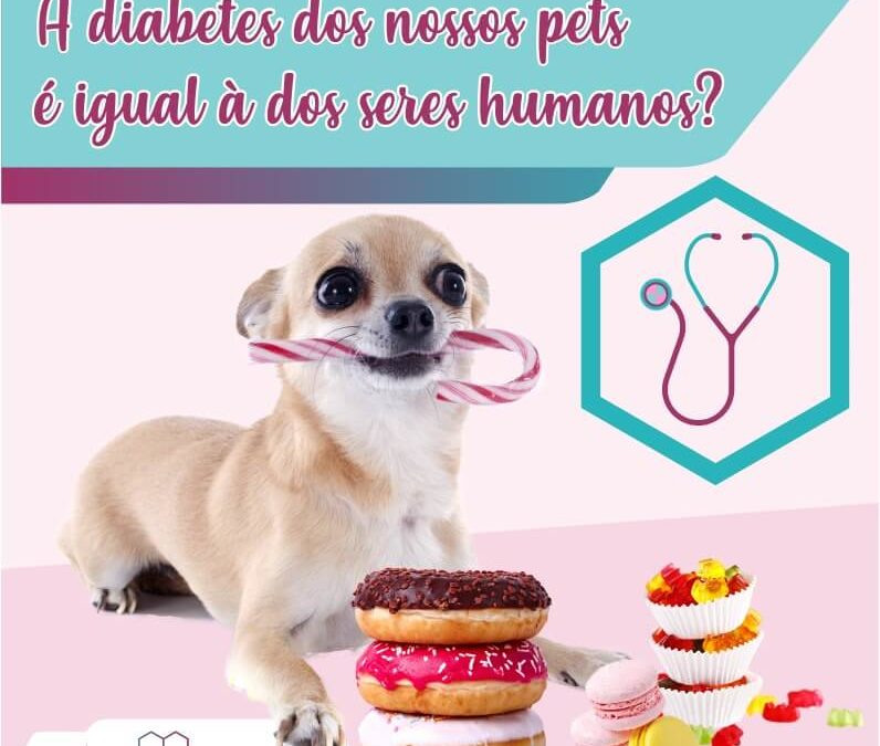 A diabetes dos nossos pets é igual a dos seres humanos?