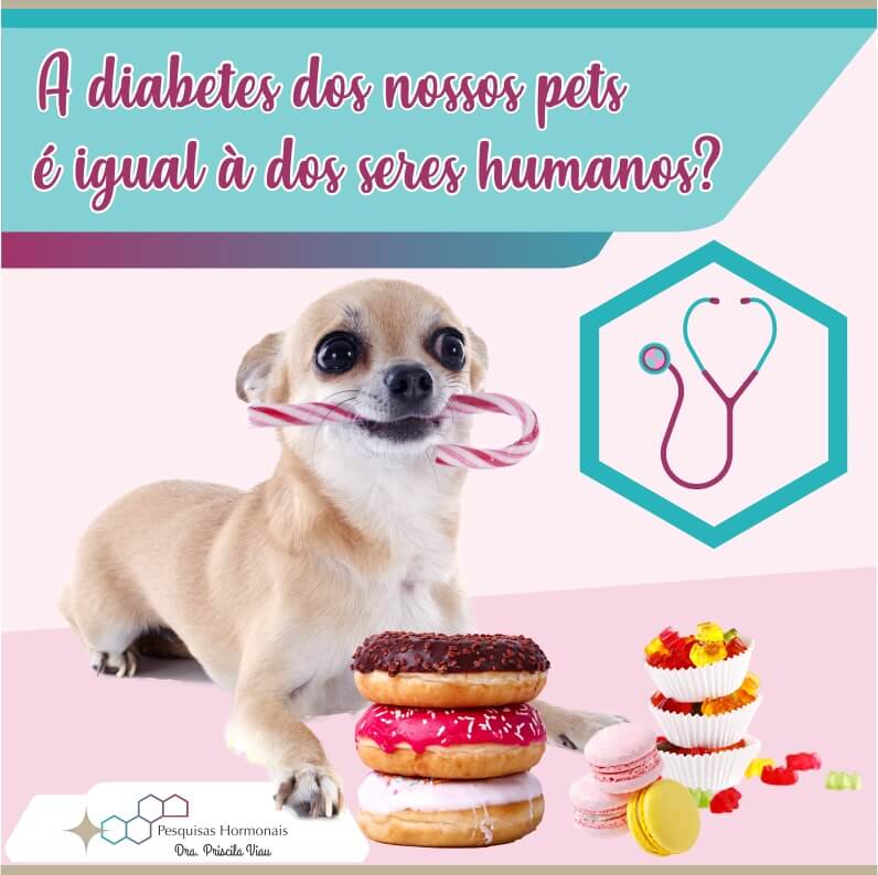 A diabetes dos nossos pets é igual a dose seres humanos?